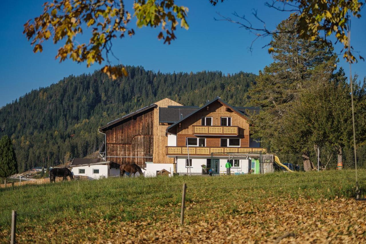 Deluxe Appartement Blasbichlerhof Ramsau am Dachstein Exterior photo